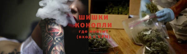 PSILOCYBIN Балабаново